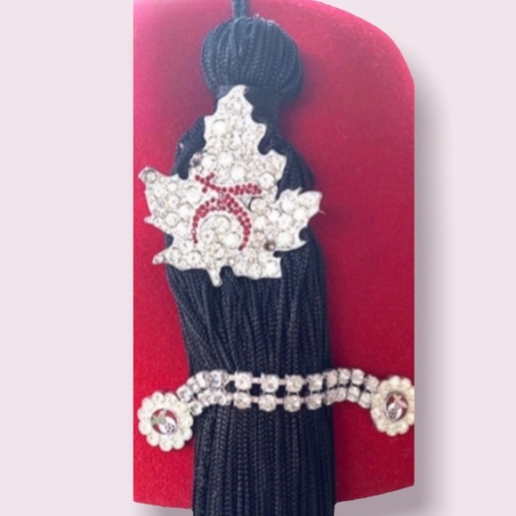 Masonic Shriners Fez Cap Jewelled Headdress Hat Tassel Director Club Member VTG - Picture 8 of 10